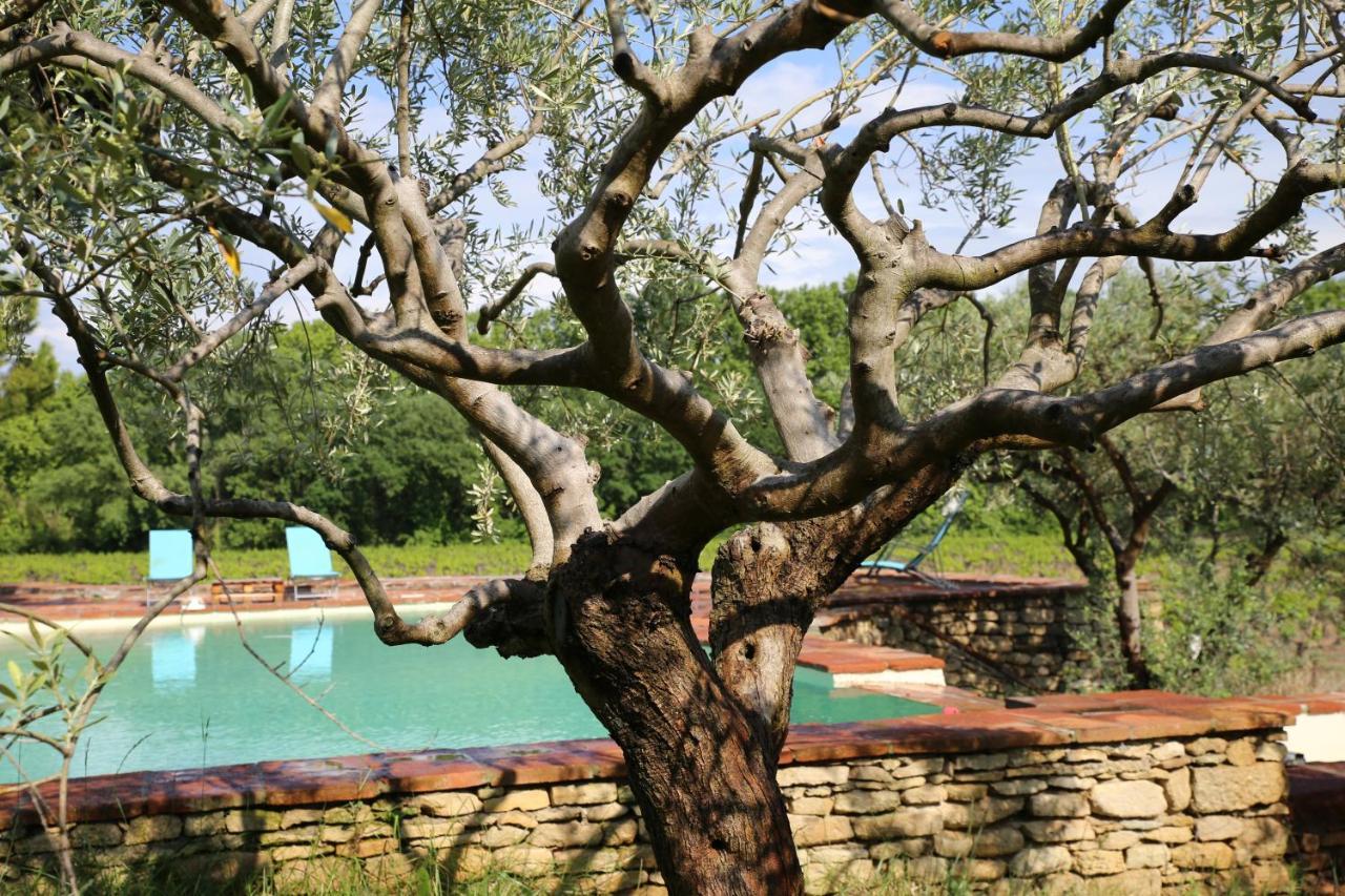 Gite des amis Domaine de Mas Caron Caromb Extérieur photo