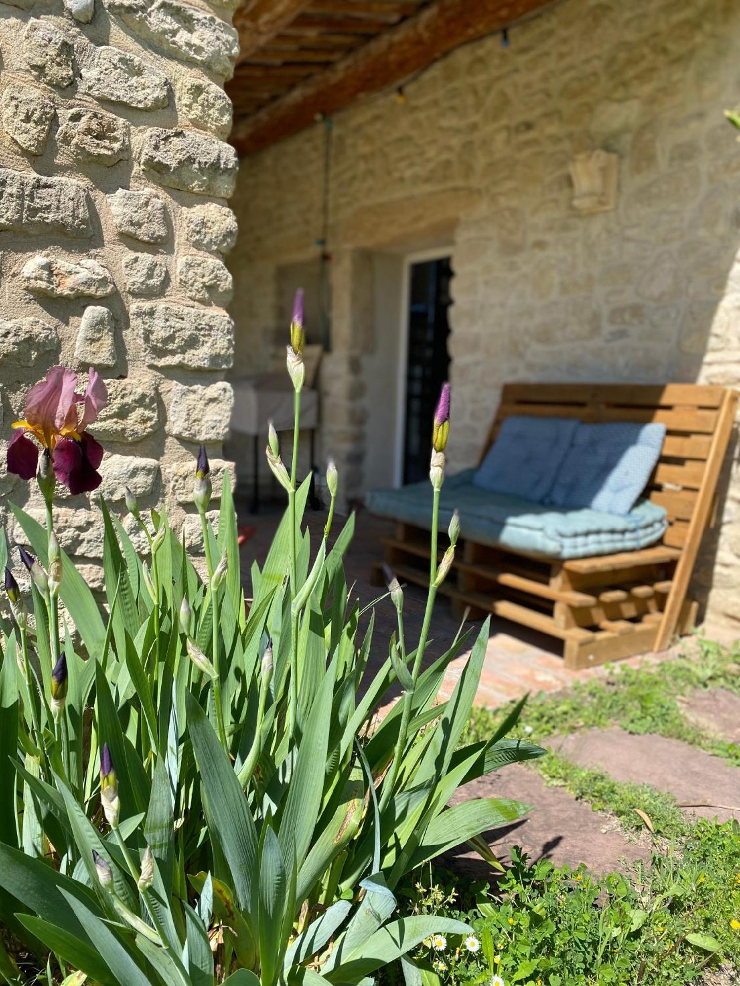Gite des amis Domaine de Mas Caron Caromb Extérieur photo